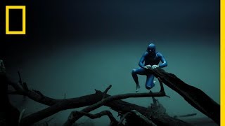 Experience the Underwater World Through the Eyes of a Free Diver  Short Film Showcase [upl. by Armitage]