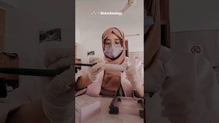 biotechnologist biotechnology foryou trend hijabistyle laboratory lab shortsviral shorts [upl. by Maidel942]