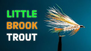 Little Brook Trout Fly Pattern  A Classic Streamer Fly  Fly Tying Tutorial [upl. by Ennis]