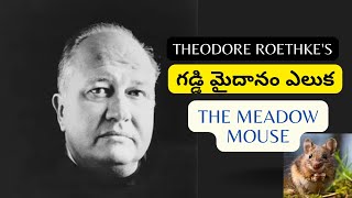 Telugu Summary of Theodore Roethkes poem quotThe Meadow Mousequot [upl. by Gosney343]