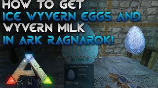 How to get an ice wyvern amp wyvern milk Easy  Ark Ragnarok [upl. by Oiretule]