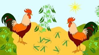 Du Gaideliai  Animuota Lietuviška dainelė vaikučiams Lithuanian Nursery Rhyme  Two Roosters [upl. by Orimisac]