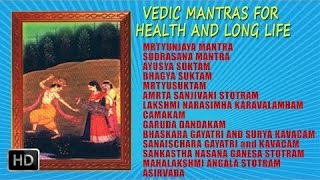 Vedic Mantras for Health and Long Life  Dr R Thiagarajan [upl. by Tosch]