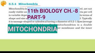 Class 11 biology Ch8Part9MitochondriaStudy with Farru [upl. by Otero]