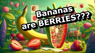 Berry Surprising Why Bananas Are Berries and Strawberries Arent [upl. by Ashman]