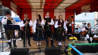 Die Hauskapelle Avsenik beim Stadtfest in Feldkirchen [upl. by Bale]