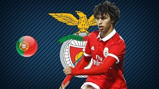 JOAO FELIX  SL Benfica  Goals Skills Assists  20172018 HD [upl. by Carbrey]