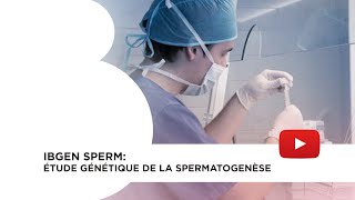 IBgen Sperm étude génétique de la spermatogenèse [upl. by Aldercy]