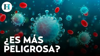 ¡Regresa el Coronavirus Conoce los síntomas de Eris la nueva variante del COVID19 [upl. by Valora366]