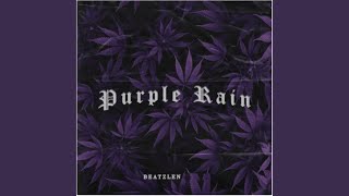 Purple Rain Cover [upl. by Lambrecht]