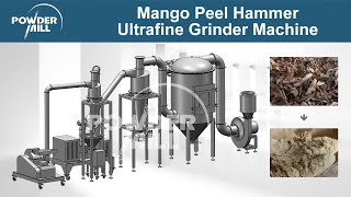 Mango Peel Hammer Ultrafine Grinder Machine Powder Grinding Machine  Mill Powder [upl. by Macmillan]