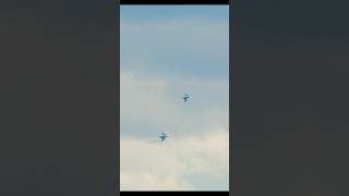 Couteau Delta high speed pass airshow shorts aviation [upl. by Nadia]