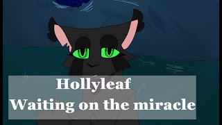 ⭐ waiting on the miracle ⭐ Hollyleaf [upl. by Adorl]