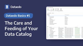 Dataedo Basics 5 The Care and Feeding of Your Data Catalog [upl. by Fernando]