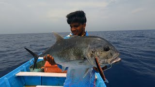 king fish trevally fish catching in lure using [upl. by Aneema]