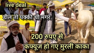 ₹200 से कंफ्यूज हो गये मुरली काका वरना हो जाती सबसे उंचे घोड़े की डील  murli kaka ki live deal [upl. by Ahsekan140]