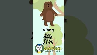 学中文 熊  Learn Chinese  BEAR  Aprender Chino  OSO Shorts [upl. by Notsruht481]