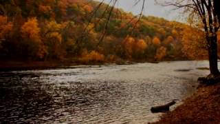 SHENANDOAHTraditional American Folk Song Performed by Tom Roush [upl. by Haze188]