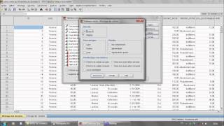 Formation SPSS Test Khideux X² [upl. by Jagir]