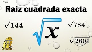 Cómo sacar una raíz cuadrada exacta [upl. by Pigeon]