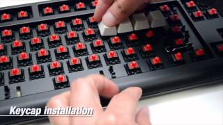 Cherry MX Sound Dampener Installation [upl. by Anaeli]