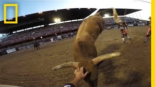 Rodeo Bullfighters Grab Life by the Horns  National Geographic [upl. by Einobe585]