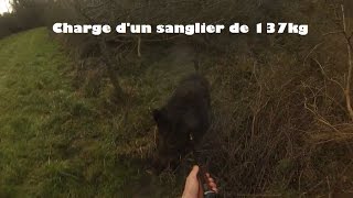 Charge dun sanglier de 137 kg [upl. by Arracot]