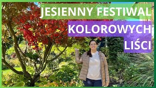 Festiwal kolorowych liści ogrodnictwo [upl. by Rossuck801]