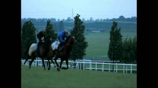 Frankel in slow motion 2012 [upl. by Houghton269]