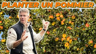 COMMENT BIEN PLANTER SON FRUITIER [upl. by Borlase790]