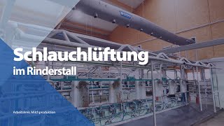 Schlauchlüftung im Rinderstall [upl. by Chlori]