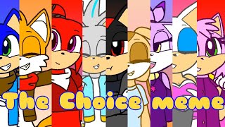 The choice meme  ft Sonic amp crew My AU  Flipaclip [upl. by Haleehs]