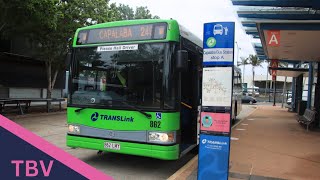 SEQ AU 240 IB Florence St Wynnum to Capalaba Bus Station via Gumdale [upl. by Agan454]