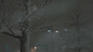 RAW VIDEO Snow accumulation continues in Lone Tree CO [upl. by Einahpad32]