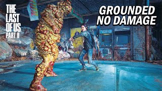 The Last of Us 2 PS5 Aggressive Gameplay  Bloaters Boss Fight  Grounded  No Damage   4K60FPS [upl. by Inneg980]