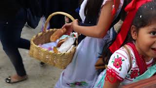 Aprendiendo la tradición en Patamban Michoacán [upl. by Mahmud597]