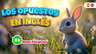 ENSEÑA A TU HIJO INGLÉS CLASE GRATIS BEBÉ POLÍGLOTA [upl. by Innos312]