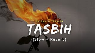 Tasbih Slow  Reverb Rooh Khan  Extended Version  New Punjabi Song 2024 [upl. by Magdau]