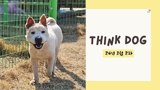 띵독Think Dog 24년 3월 소식 둘 [upl. by Studley]