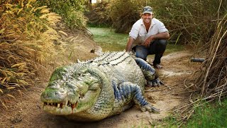 TOP 8 MAIORES CROCODILOS DO MUNDO [upl. by Nylrahc]