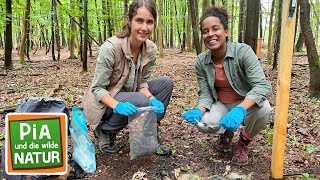 Was versteckt sich im Buchenwald  Reportage für Kinder  Pia und die wilde Natur [upl. by Ankney]