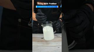 Creamy Froth in Seconds Zulay Milk Frother Magic [upl. by Albie]