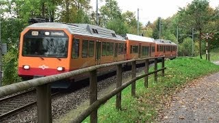 Uetlibergbahn Zürich  Tagtäglich unterwegs  Zug trainfart trains [upl. by Uni141]