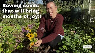 Final allotment tour of October as well as seed sowing and preparing beds for next year [upl. by Anpas]