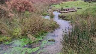 Dartmoor in the mist  near Warren Inn and Princetown  Walking with Z Zeahorse [upl. by Bartosch]