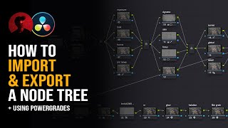 How To Import amp Export A Node Tree  DaVinci Resolve Tutorial [upl. by Atok]