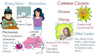 Runny Nose  Rhinorrhea Causes mechanism and types of nasal sprays and drops [upl. by Tayib40]