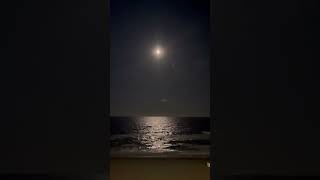 Beautiful last moon of Summer 2024 moon beachlife summervibes peacefulsleep blessed ocean [upl. by Laenej]