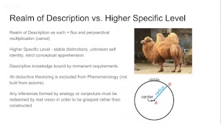 Edmund Husserls Phenomenology Lecture 36 Ideas Preliminary Considerations of Method [upl. by Cristine]