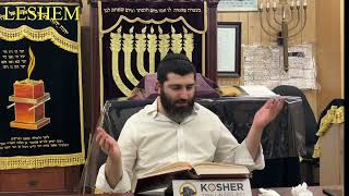 Sha’ar Hagilgulim18 Rav Shalom Gadaev 5784 [upl. by Gradey]